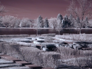 Formal gardens at Washington Park, Denver, CO; R72 IR filter with monopod support. Click for 800x600 version. [C-2020Z]