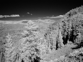 Carson Spur, Sierra Nevada, California; R72 IR filter, Lab mode grayscale conversion. Click to see 800x600. [C-2000Z]