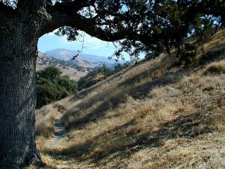 Mount Diablo looking SE from Shell Ridge, Walnut Creek, California. Click to see 1600x1200 version. [C-2000Z]