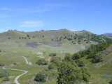 Shell Ridge Recreation Area, Walnut Creek, CA. Click to see the 800x600 version. [C-2000Z]
