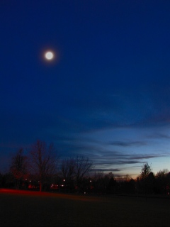 Last light over Washington Park, Denver, CO; f/2.0 @ 2.0 sec w/ dark field subtraction. [C-2020Z]